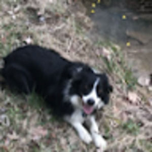 Meet your Posher, Kipp